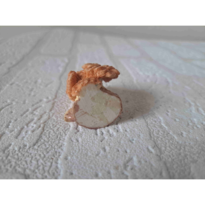 Uil met een vleugel open Uil met een vleugel open