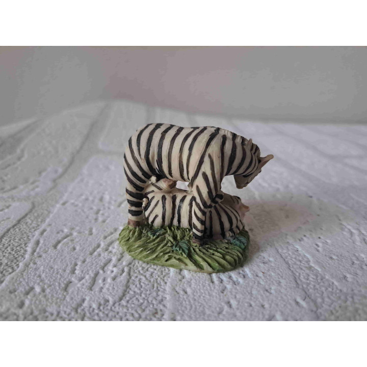 Zebra met jong op het gras