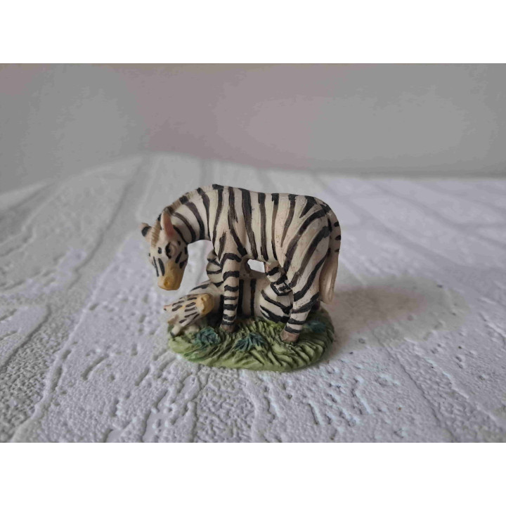Zebra met jong op het gras