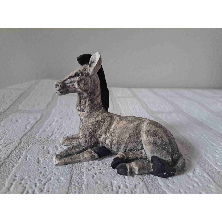 Zebra zittend