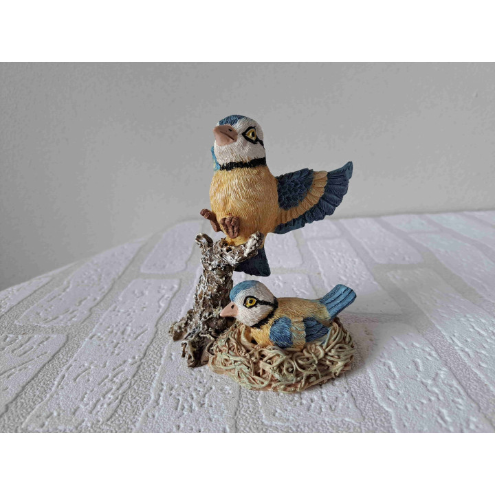 Pimpelmees vogel met jong in nest