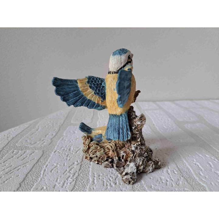 Pimpelmees vogel met jong in nest