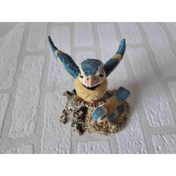 Pimpelmees vogel met jong in nest