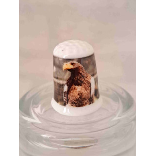 Roofvogel op een porselein vingerhoedje