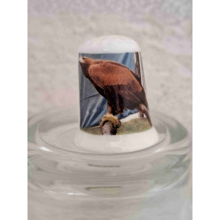 Roofvogel zittend op en tak op een porselein vingerhoedje