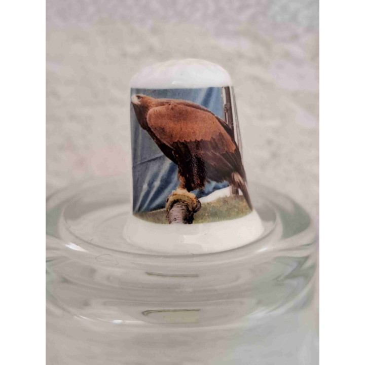 Roofvogel zittend op en tak op een porselein vingerhoedje