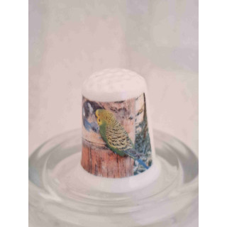 Parkiet vogel op een porselein vingerhoedje