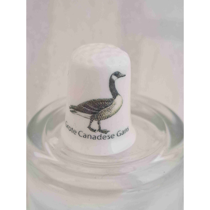 Grote Canadese gans vogel op een porselein vingerhoedje