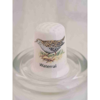 Waterral vogel op een porselein vingerhoedje