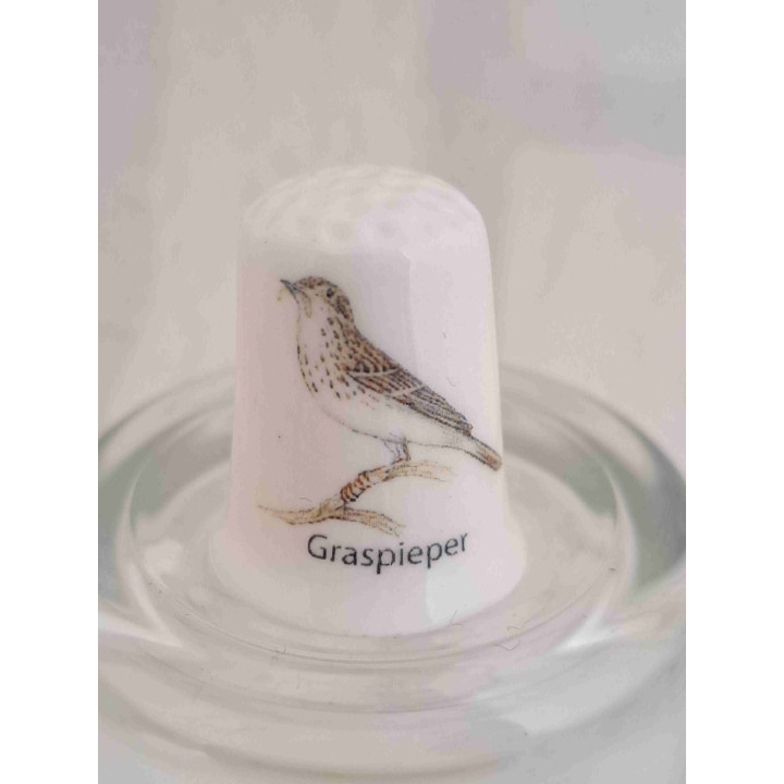 Graspieper vogel op een porselein vingerhoedje