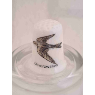 Oeverzwaluw vogel op een porselein vingerhoedje