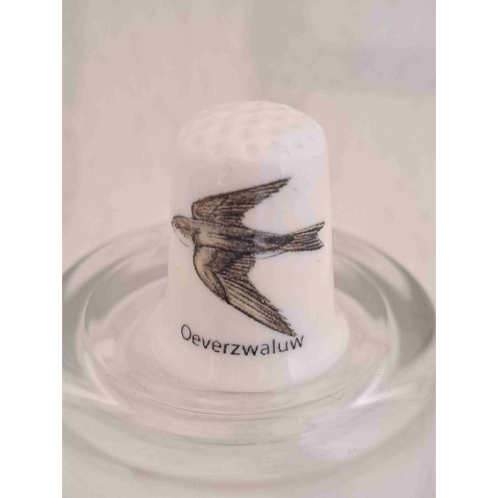 Oeverzwaluw vogel op een porselein vingerhoedje