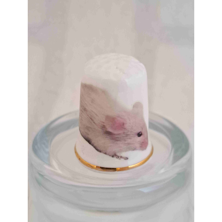 Witte muis op een porselein vingerhoedje met goud randje