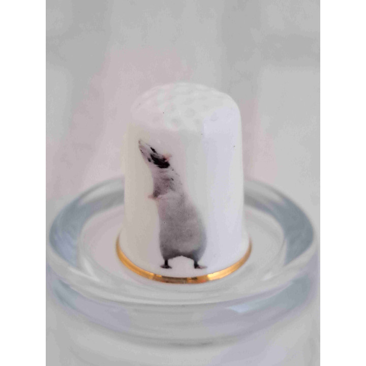 Rechtopstaand witte muis op een porselein vingerhoedje met goud randje
