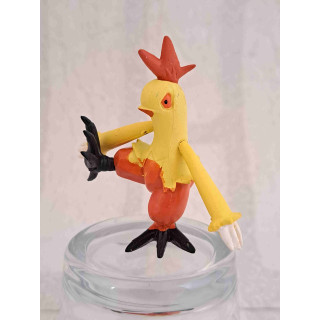 Combusken Pokemon Combusken Pokemon