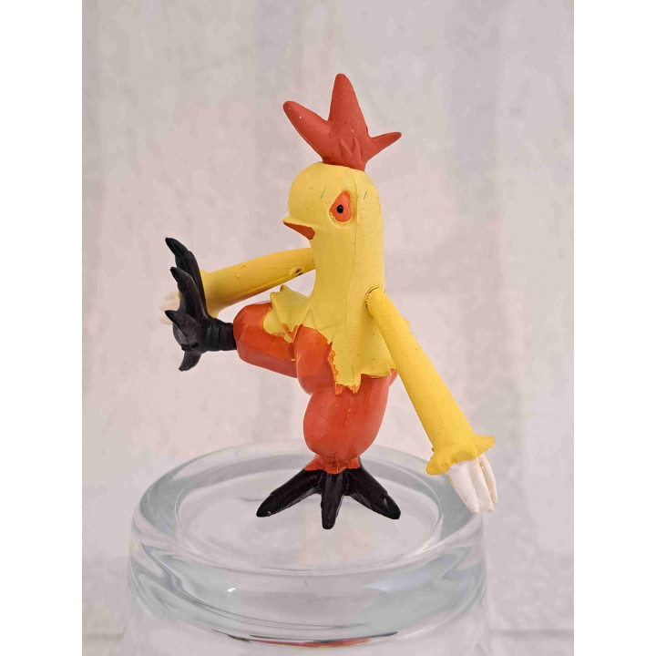 Combusken Pokemon Combusken Pokemon