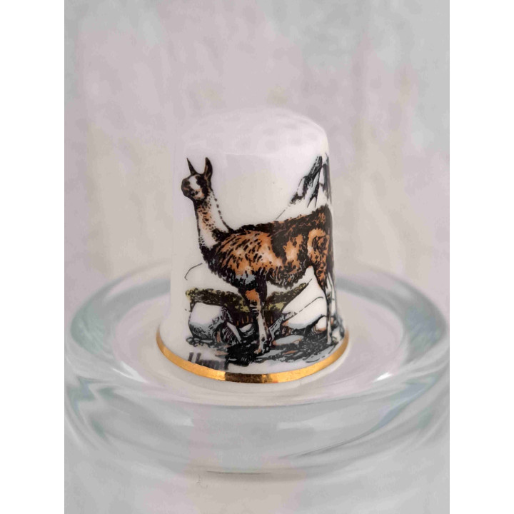 Lama op een porselein vingerhoedje met goud randje