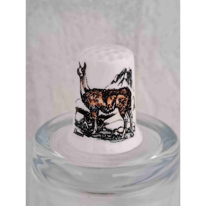 Lama op een porselein vingerhoedje