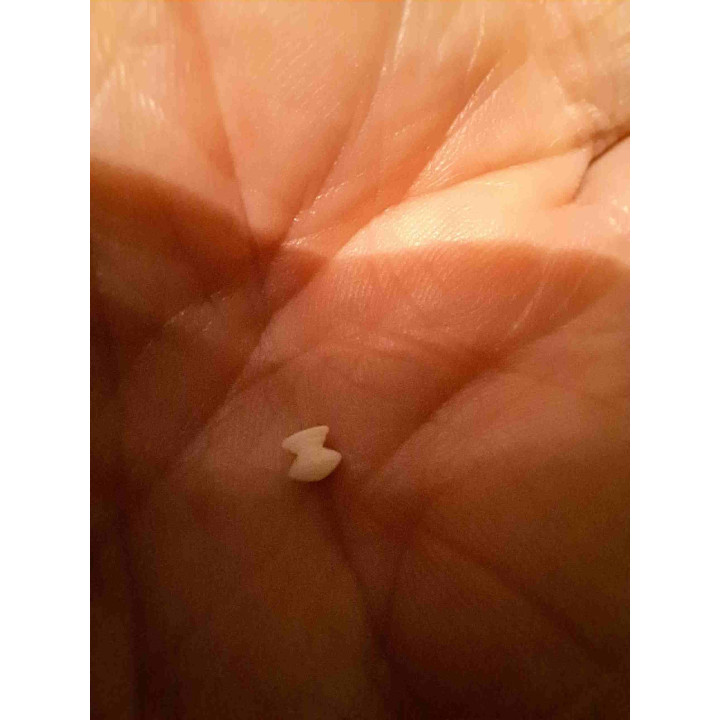 10 kunsthars deurknoppen wit 1:12 poppenhuis 3.5x3.5x3mm - 3D-harsprint