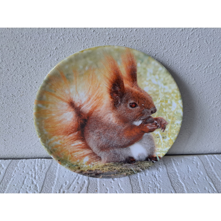 Eekhoorn op een porselein ontbijtbord