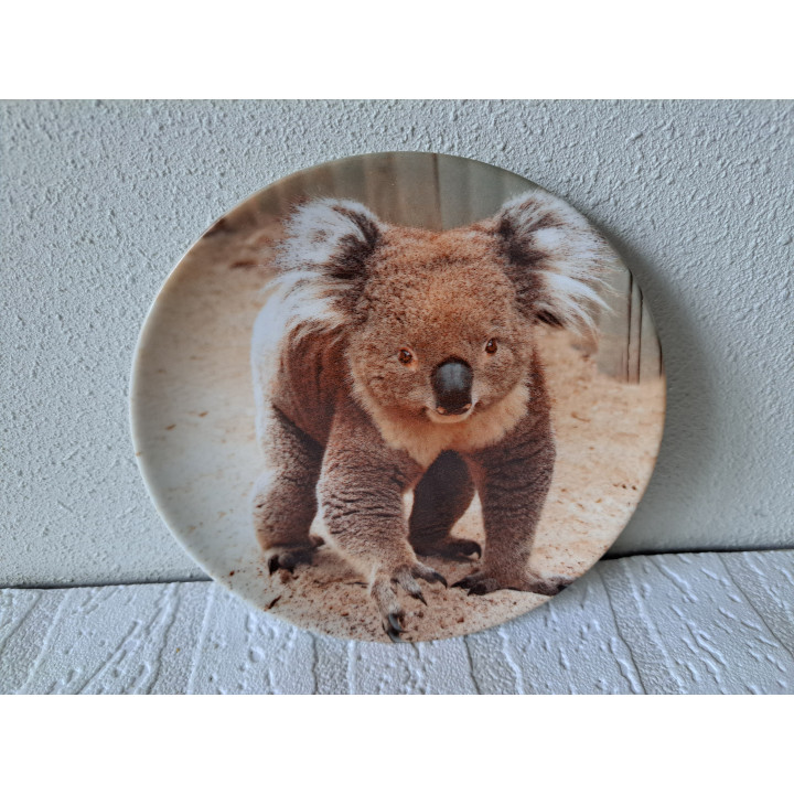 Koala beer op een porselein ontbijtbord