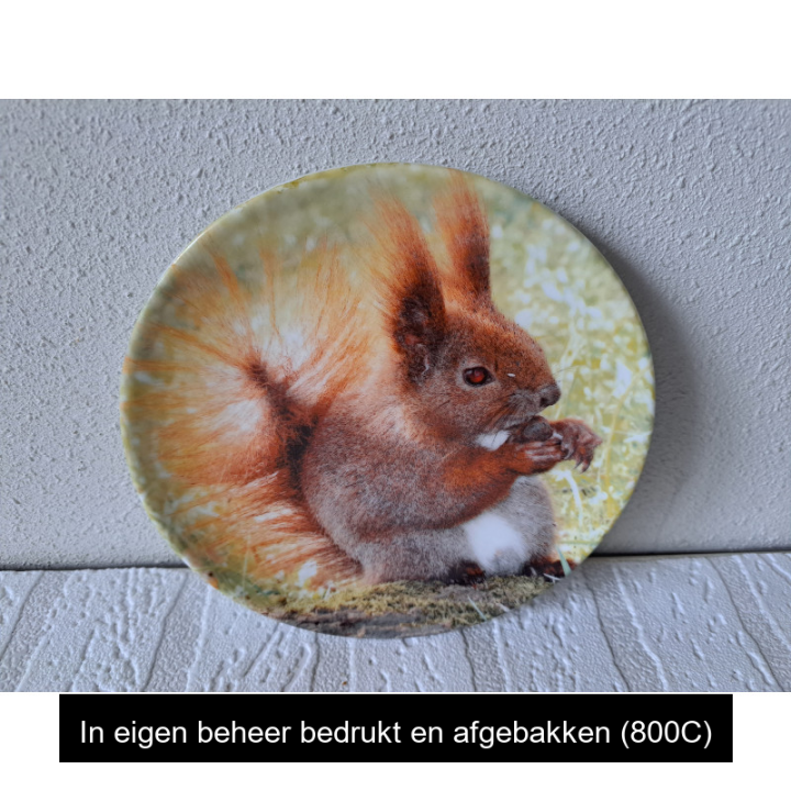 Ontbijtbord met Eekhoorn afbeelding, porselein D16 cm