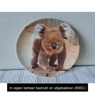 Ontbijtbord met Koala beer afbeelding, porselein D16cm