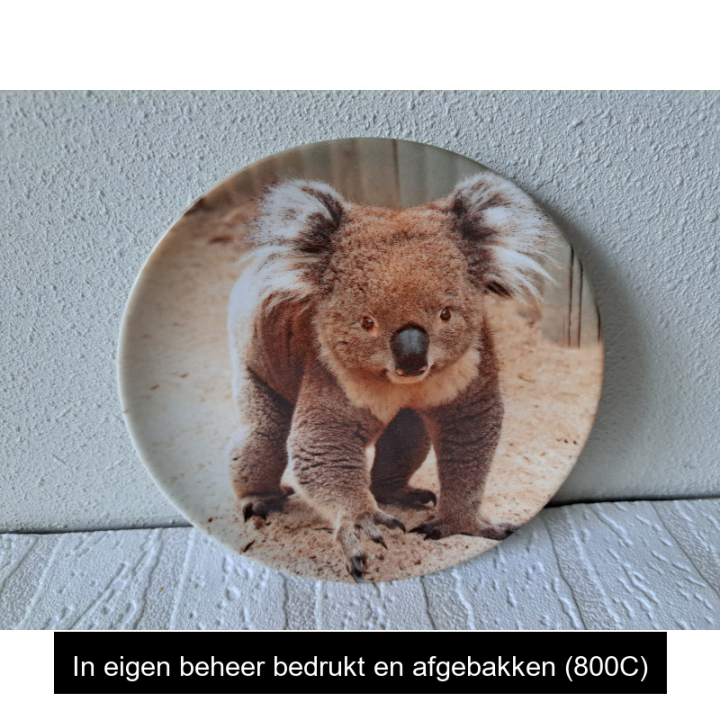 Ontbijtbord met Koala beer afbeelding, porselein D16cm