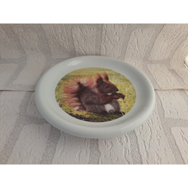 Ontbijtbord met Eekhoorn foto, porselein D19cm - handgemaakt