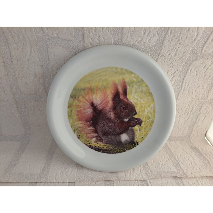 Ontbijtbord met Eekhoorn foto, porselein D19cm - handgemaakt