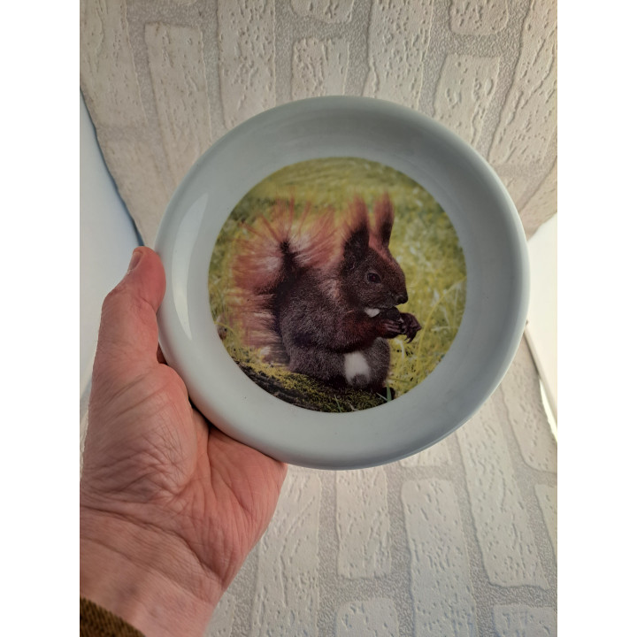 Ontbijtbord met Eekhoorn foto, porselein D19cm - handgemaakt