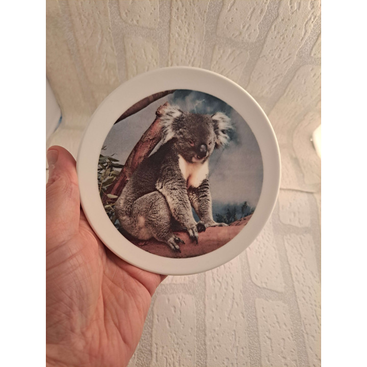 Ontbijtbord met koala foto, porselein D15cm - handgemaakt
