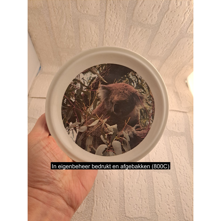 Ontbijtbord met koala afbeelding, porselein D15cm