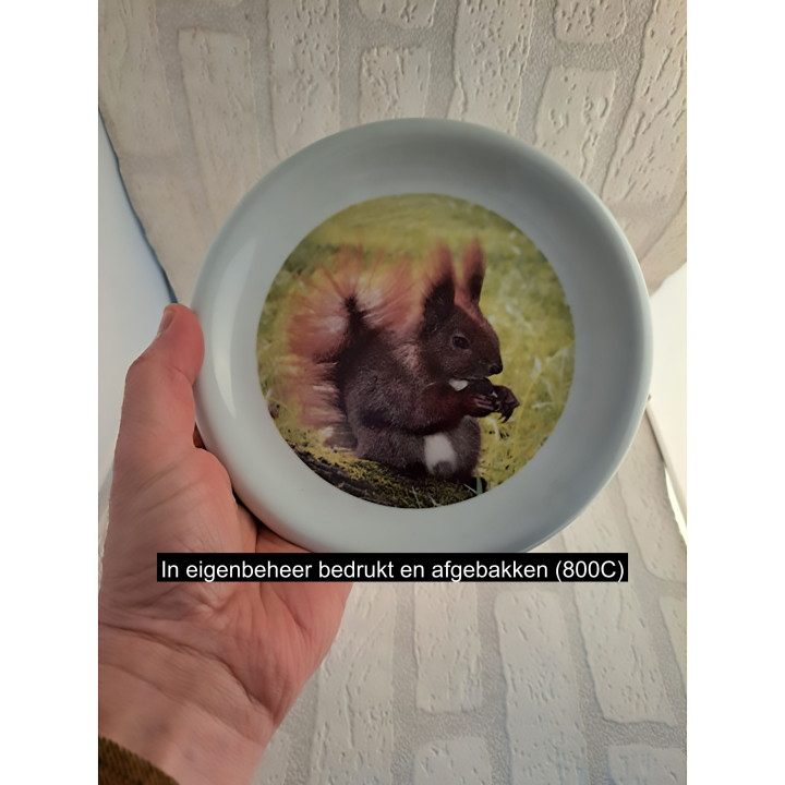 Ontbijtbord met Eekhoorn foto, porselein D19cm