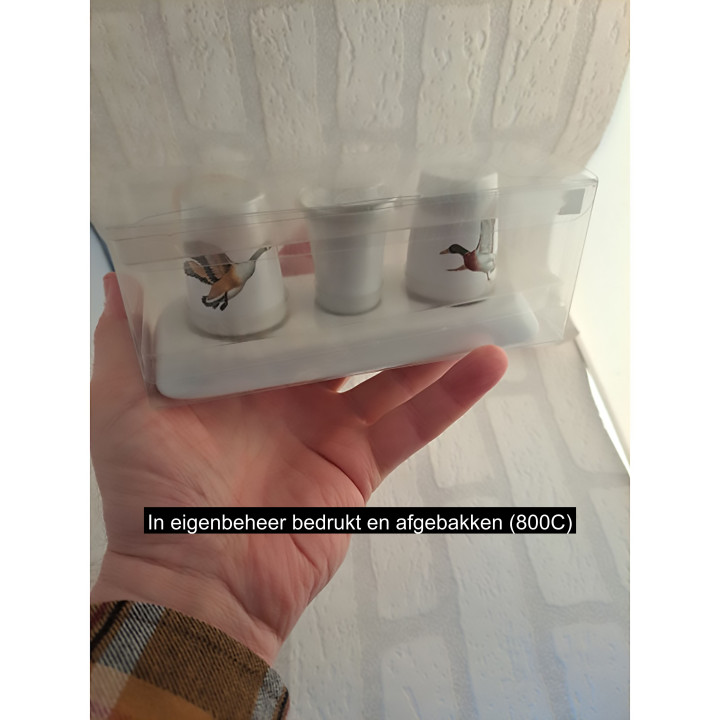 Peper en zoutstel met bakje en eenden afbeelding