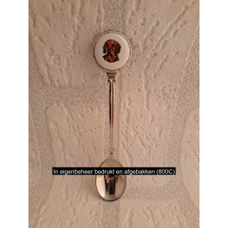 Metaal thee-koffie lepeltje kortharige Teckel hond op het porselein rondje