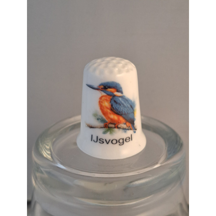 IJsvogel tekening Alcedo atthis vogel vingerhoedje