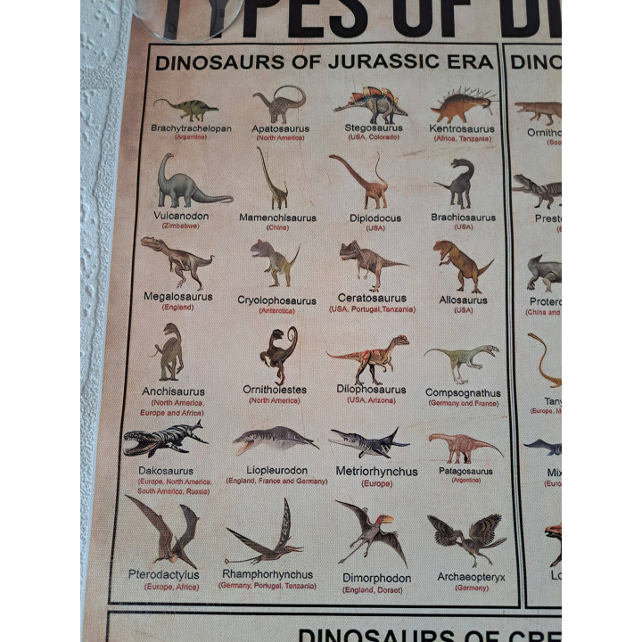 Dinosaurussen Evolution Educatieve Canvas Poster L61xB40.6cm - posters