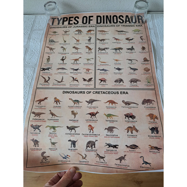 Dinosaurussen Evolution Educatieve Canvas Poster L61xB40.6cm