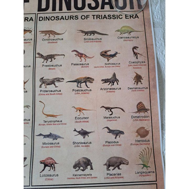 Dinosaurussen Evolution Educatieve Canvas Poster L61xB40.6cm - posters