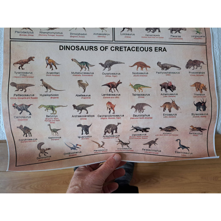 Dinosaurussen Evolution Educatieve Canvas Poster L61xB40.6cm - posters