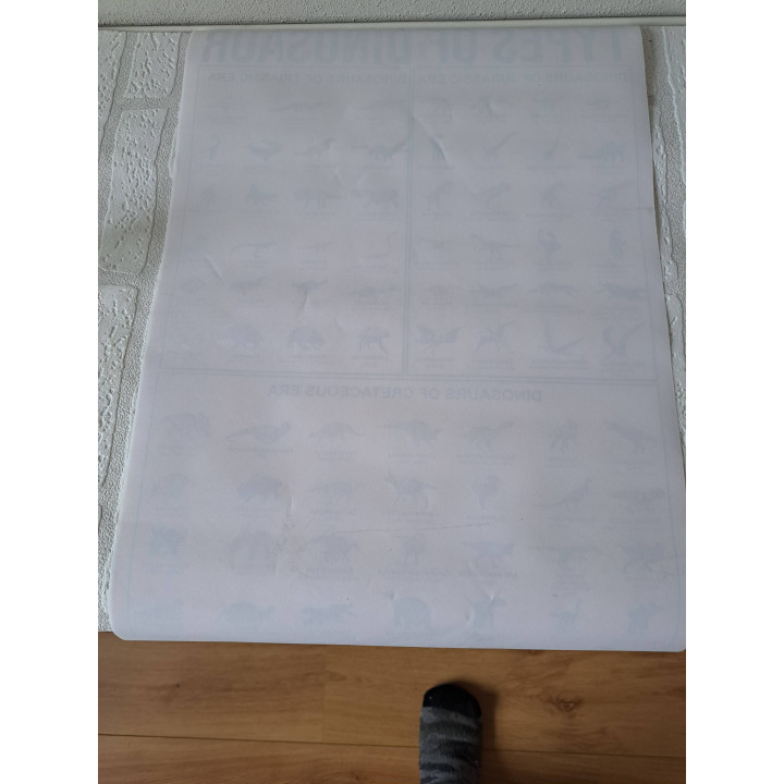 Dinosaurussen Evolutie Educatieve Canvas Poster 61x40cm