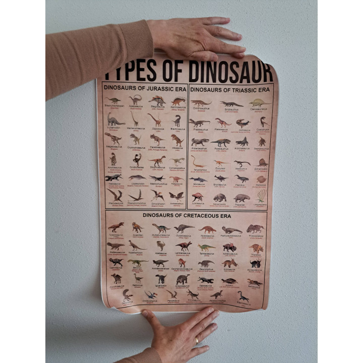 Dinosaurussen Evolution Educatieve Canvas Poster L61xB40.6cm