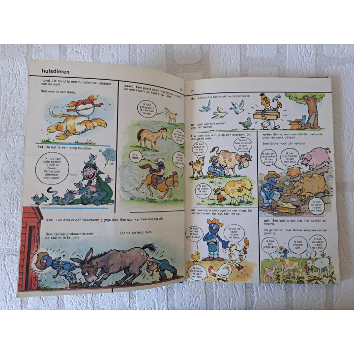 Sesamstraat woordenboek Deltas 9024325048 - leesboeken