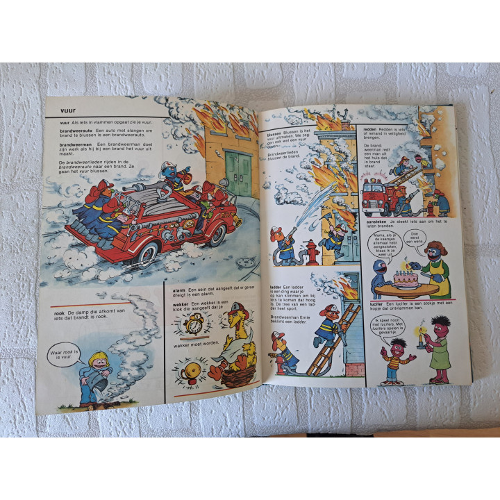 Sesamstraat woordenboek Deltas 9024325048 - leesboeken
