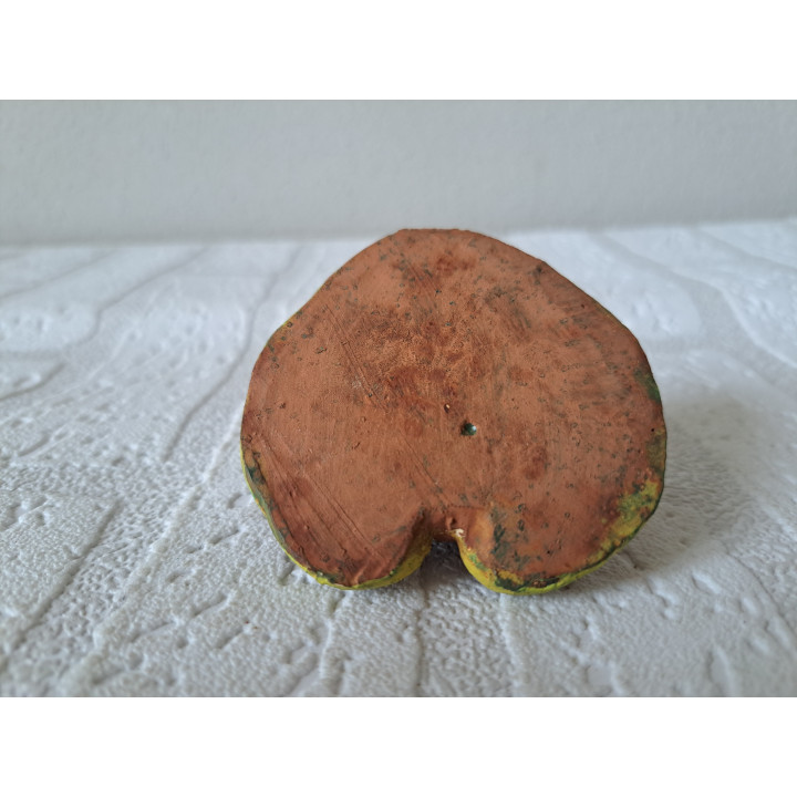 Kikker van gips met jong 6.5x7x4.5cm - beeldjes