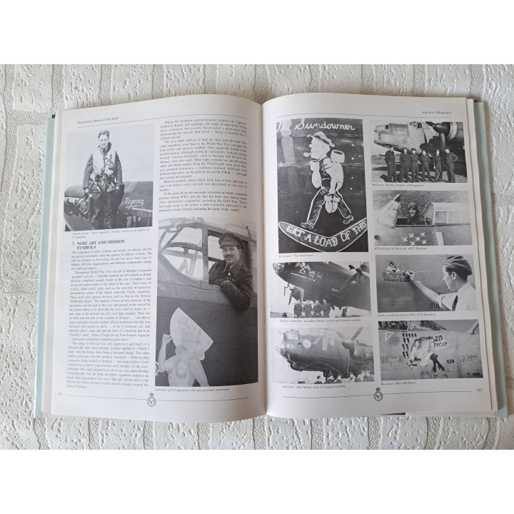 Het bronnenboek van de R.A.F. Ken Delve Airlife 1853104515 - boeken