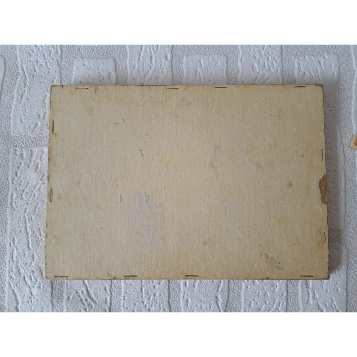 Houten dopjes puzzel met buiten taferelen 25x17.5x1cm - puzzels