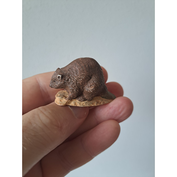 Bever van kunsthars 5x2x3cm