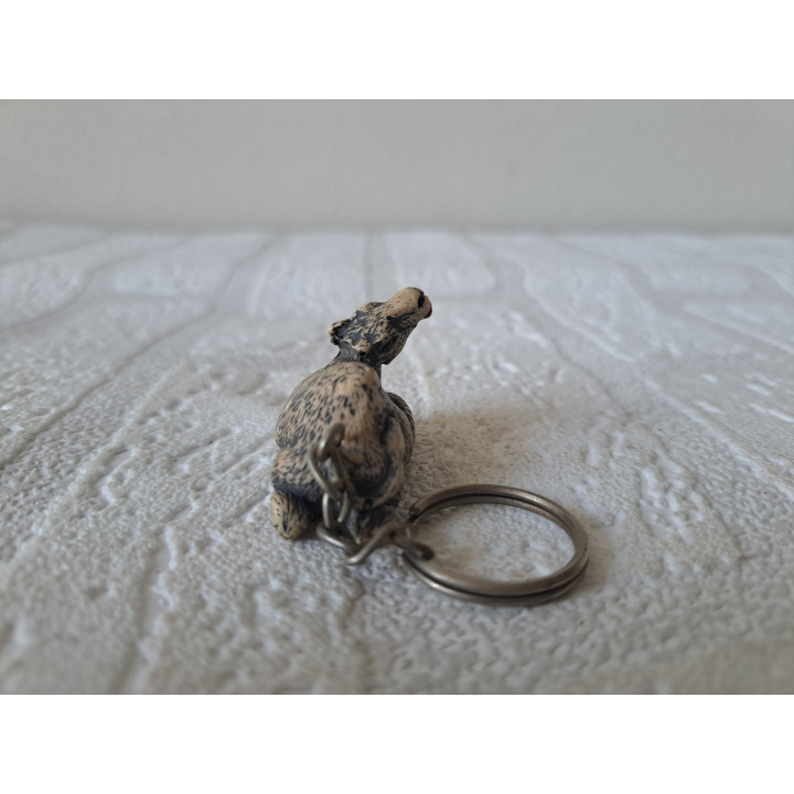 Dromedaris sleutelhanger van kunsthars 3.5x2x3cm - beeldjes